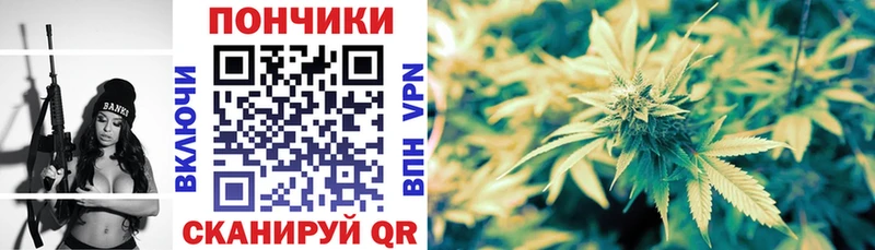 что такое наркотик  Ардатов  Бошки Шишки сатива 